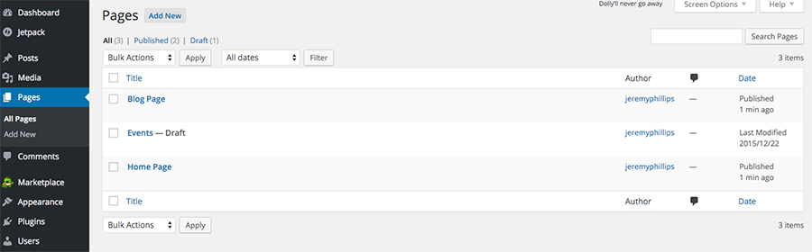 Creating and Editing WordPress Pages and Posts