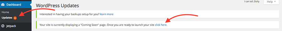 Run WordPress Updates and Click the Go Live Button