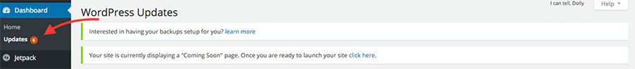 Church WordPress Website Installation Updates - Bluehost Website Hosting